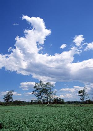 静岡市葵区に新規オープンした家族葬のタクセル長沼｜低価格で安心の家族葬専門斎場