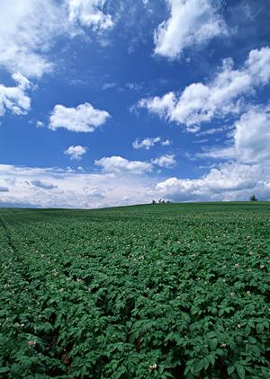 静岡県浜松市に新しくオープンした家族葬専門斎場「家族葬のタクセル天竜川駅前」の特徴と最新情報