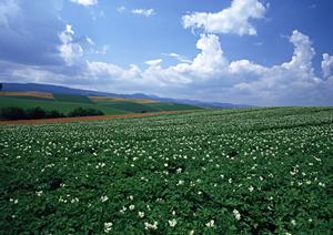 静岡県焼津市に新しくオープンした家族葬の専門斎場「家族葬のタクセル焼津」についての詳細解説と特徴