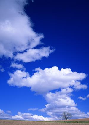 静岡県浜松市における家族葬の専門式場「家族葬のタクセル領家」の魅力と特徴