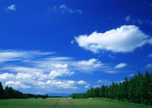 【2024年版】ティア越谷の葬儀サービスと特徴を詳しく解説