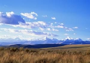 浜松市で信頼できる葬儀サービスを提供する富士葬祭 浜北沼の特徴と店舗紹介