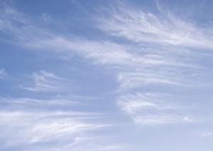 安心・信頼の訪問ペット火葬サービスを徹底解説｜相模原エリアで選ばれる理由