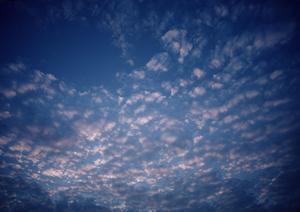 静岡県浜松市の家族葬専用斎場｜家族葬のタクセル天王の特徴と魅力